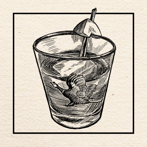 Illustration of Jesse Collins's (Gold Dust Meridian) "Quince Upon a Time" Old Fashioned. Portland, Oregon.